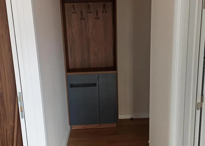 I&n * Златибор